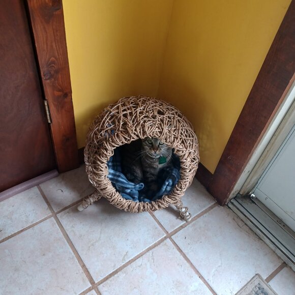 Handmade FiberRush Cat/Dog Bed - Picture 2 of 16